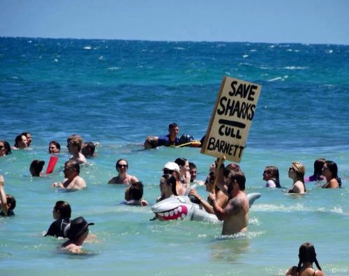 d-dinosaur: littlelarryllama: So our Western Australian premier, Colin Barnett has passed a bill to 