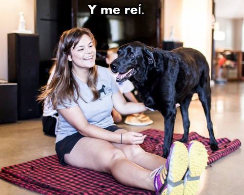 chicles-bomba:   La historia de Duke. Un perro desahuciado.   Por motivos de la vida, motivos que no podemos entender,  que simplemente no tienen explicación.  Existen miles de historias como la de él. Demasiado dolorosas, demasiado irreales. De