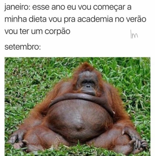 luzdmorena