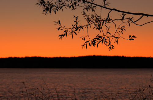 swedishlandscapes:The sunset after an unusually warm september day.