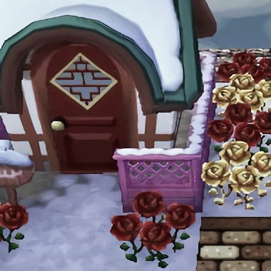 99probsbutdunaint1:○ Lotus in the snow ○