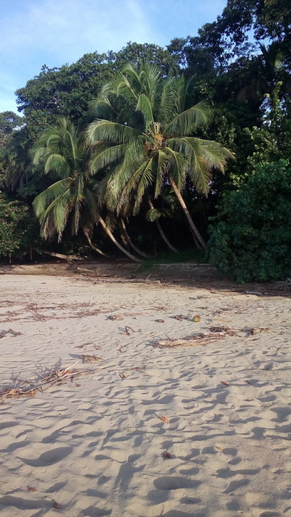 kimaroundtheworld: Punta Uva - Costa Rica