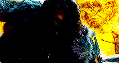 hollandsaccent:  While I can honestly say I have told you the truth, I may not have