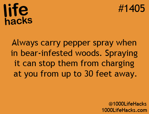 2damnfeisty:  foreverpruned:  signedfury:  Sweetie, why would I be in bear-infested woods?  Lmfao!!!  exactly