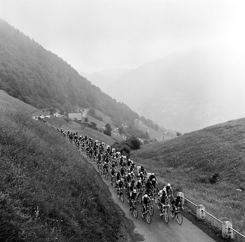 classicvintagecycling:Vintage cycling