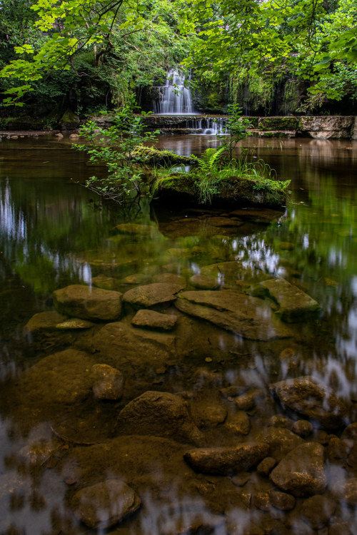 satakentia:Nidd FallsYorkshire, England, UKby Sara Robertson