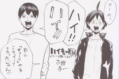 midori-tako:Extra pictures from Haikyuu!! Vol. 14. Yamaguchi: One, twoYamaguchi & Kageyama: HAI!!Somebody (Hinata?): Kageyama, you were supposed to say “kyuu!!”! Yachi: HaiSaeko: Kyuu!!