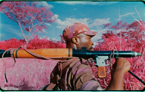 asylum-art:  Richard Mosse: The enclave  the enclave at venice art biennale 2013 In his current show at Jack Shainman, Richard Mosse reprises his heart-rending multimedia installation from the Irish Pavilion at the Venice Biennale last year. The piece,