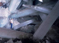 fuckyeahmineralogy:  The Cave of the Crystals is a cave underneath Chihuahua, Mexico that contains giant selenite (a polytype of gypsum, CaSO4·2 H2O). These huge crystals are able to form due to the high humidity and temperatures (over 100°F and near