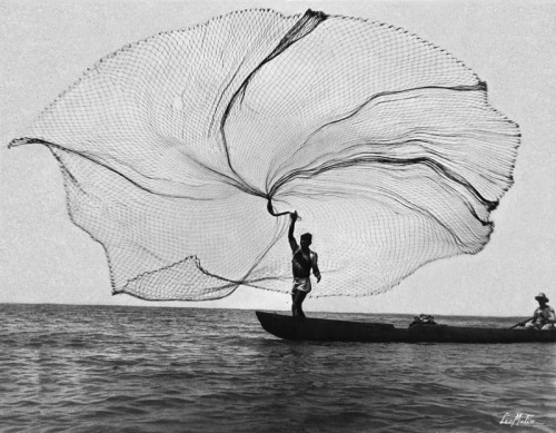 Leo Matiz. Peacock of the Sea. Ciénaga Grande, Colombia. 1939