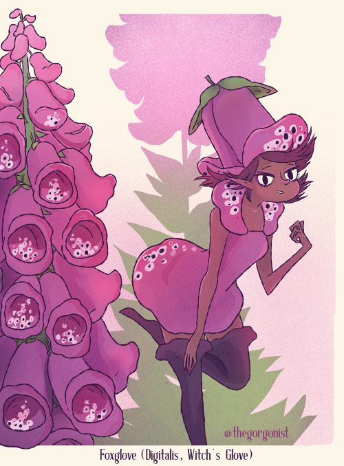 thegorgonist:Day 9 is Foxglove! Digitalis…heart medications can be derived from this plant, b