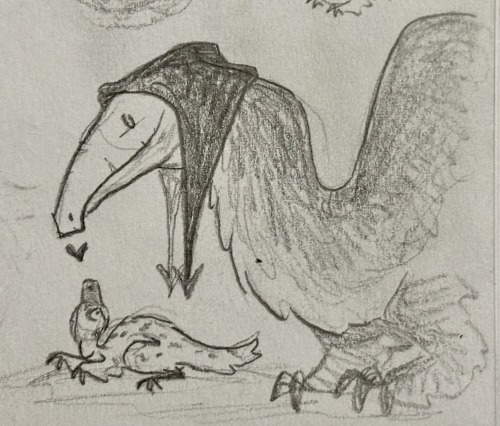Even More... Deinocoras... 