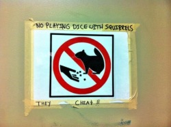 niknak79:  Cheating squirrels 