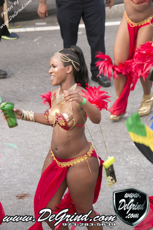 carnivalsfinest:  Labor Day 2013 NYC