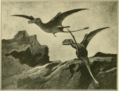 nemfrog: “These are flying reptiles or winged dragons.” The snakes of South Africa. 1921. Internet A