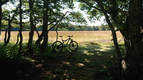 maythebikebewithyou:#Aubrac #Cannondale #ScalpelSE #UnitedBicycles #labellevie #smithhelmets #occita