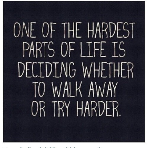 anniewales:  Life-Wise quote | Inspiring Love Life Wise Quotes on We Heart It - http://weheartit.com/entry/49861460/via/Ladylily