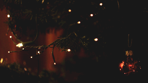 lydiadcb:  Lo que más me gusta de la Navidad son las luces. 