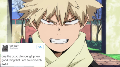 thylovelylionheart: correctbnha: bakugou but wolfpupy tweets @an-assortment-of-forks