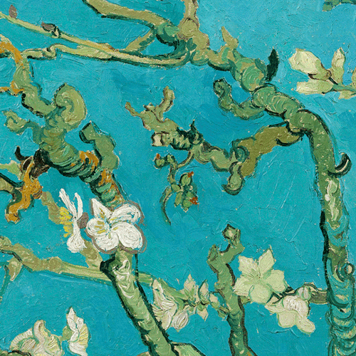 goodreadss:Almond Blossom   by Vincent van Gogh