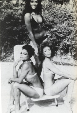 thepoetspace:caliphorniaqueen:  caliphorniaqueen:  geauxharder:  caliphorniaqueen:  quarter-century-life-crisis:  Eartha Kitt, Jayne Kennedy and Freda Payne  LAWD  GAWD YESS!!!!  I see I already reblogged this but idc …omgggg    I see that I’ve now