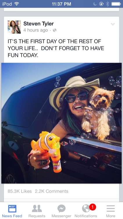 deandrareynold:  clarissagoyle:  Looks like Steven Tyler had a good day   I