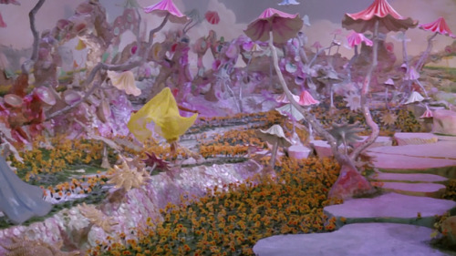 roserosette:Love Sublime, 1978, Raj Kapoor