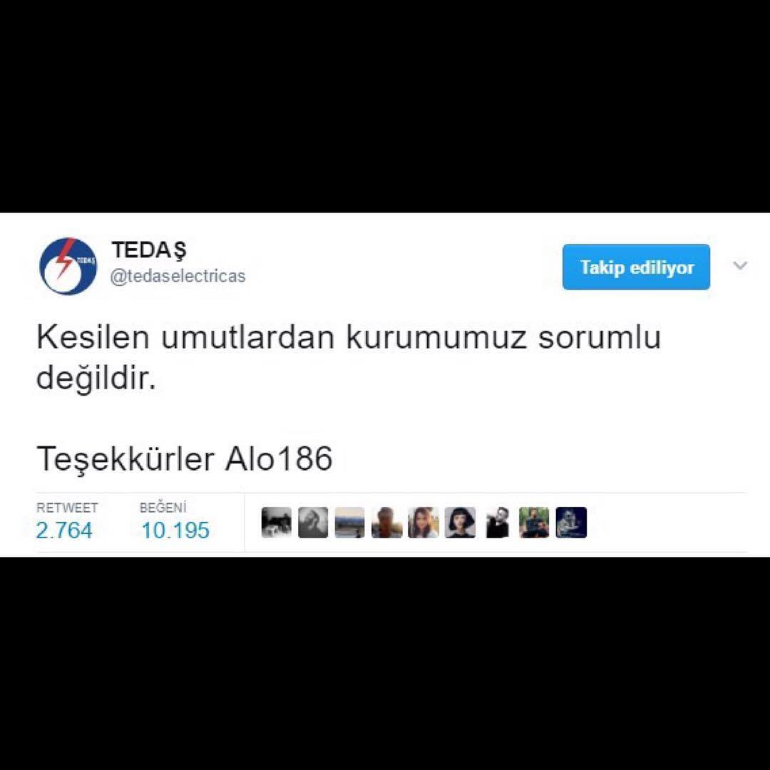 TEDAŞ

Kesilen umutlardan...