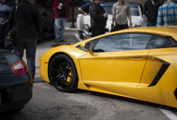 automotivated:  Lamborghini Aventador by Thomas Struett on Flickr.