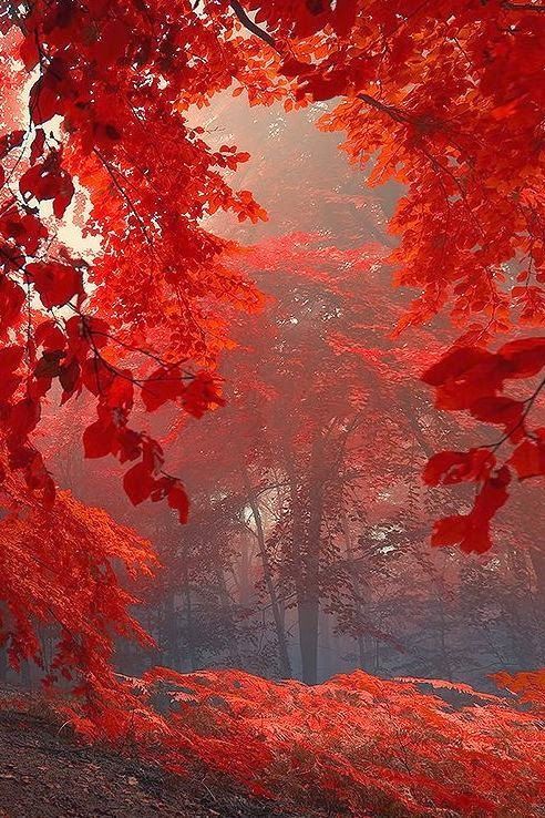 beautymothernature:  Sacred Shivers ~ ༺ ♠ share moments 