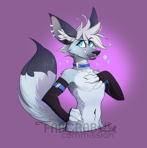 foxxy boi Akkla, commissioned by Zain_Akkla on twitter! 
