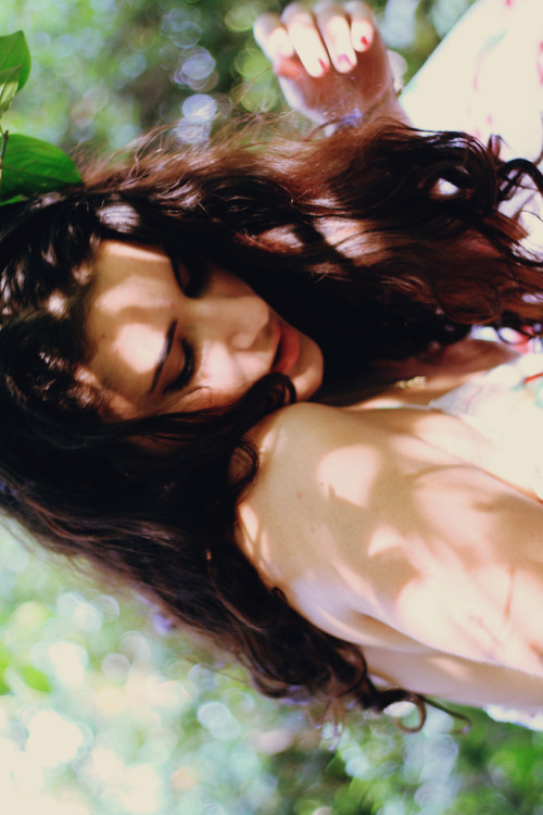 timefliestoday:  nature/vintage blog 