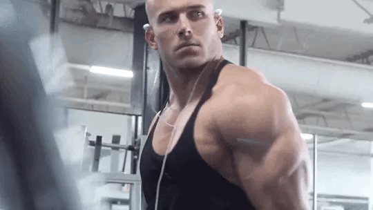 musclecorps:
