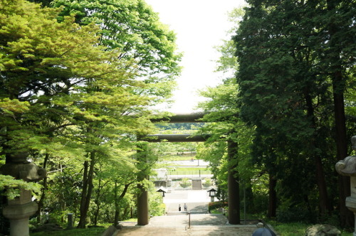 日本三名園の偕楽園へ。あとは岡山の後楽園に行けばコンプリートです。お天気も景色もよかった。2019.5