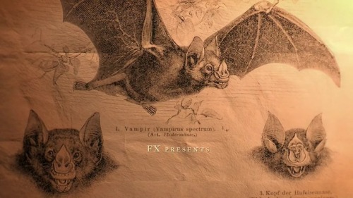 mannyblacque:Bat illustrations from the opening titles of What We Do In The Shadows. [source]