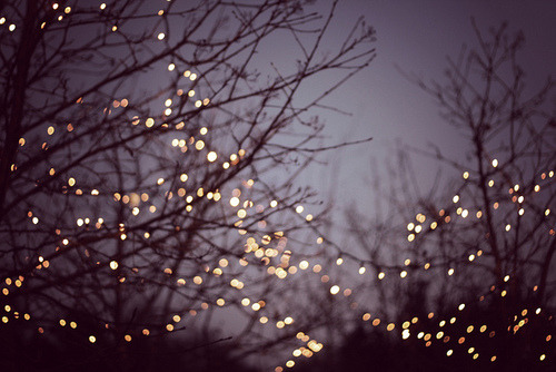  Winter Lights 