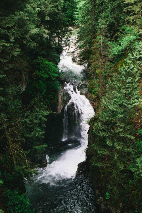 benngie:Lynn Canyon. 