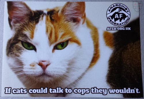 fuckyeahanarchistposters:“if cats could talk to cops, they wouldn't”