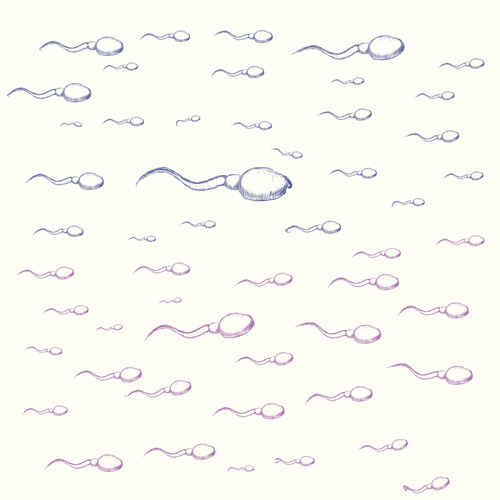 Deep Sperm