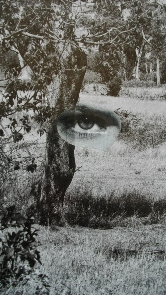 surrealist-phantoms:  Rozenn Le Gall 