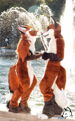 Jack-The-Lion:  Fotofurnl:they Danced To Their Hearts’ Desire As If No One Was