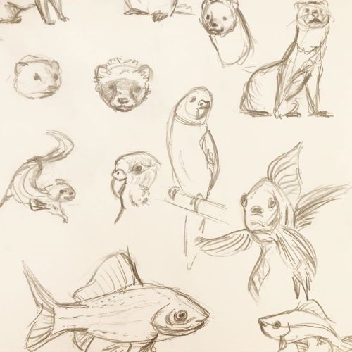 Bunch of animal sketches happening for the last couple of days in the sketchbook! #sketchbook #penci