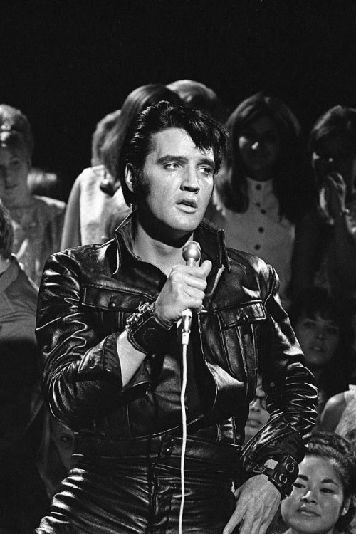 To Our Beloved Elvis,
