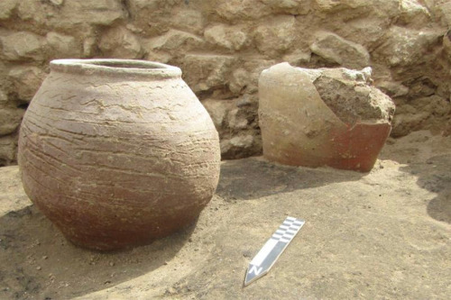 Ancient Greek Pottery Workshop and Storage Facility Discovered in AlexandriaAn Egyptian archaeologic