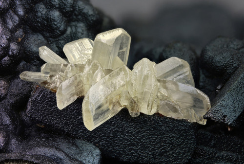 underthescopemineral:  Cerussite, Goethite   PbCO3,   FeO(OH)   Locality:La Unión, Sierra de Cartagena, Murcia, Spain   Group of Cerussite crystals of 10.66 mm on Goethite matrix. Collection & Photo Matteo Chinellato    Cerussite is a lead carbonate