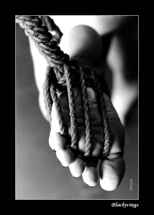 Good Times in Shibari