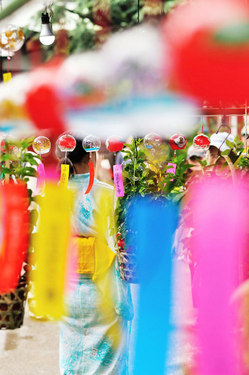 fuckyeahjapanandkorea:  浅草　Asakusa Tokyo (by Shoji (Tokyo)) 