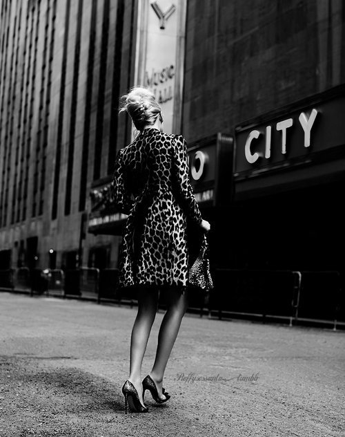 dahlia–noir: .