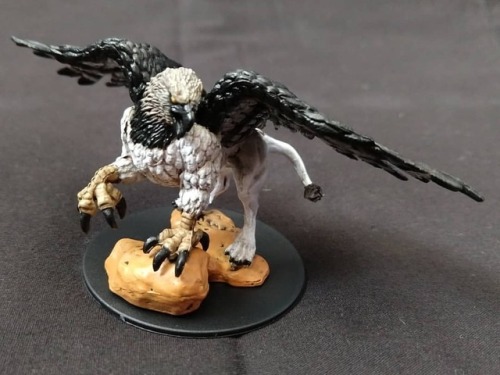 My second completed mini! I based this griffin&rsquo;s coloration on the harpy eagle. #dnd #mini #mi