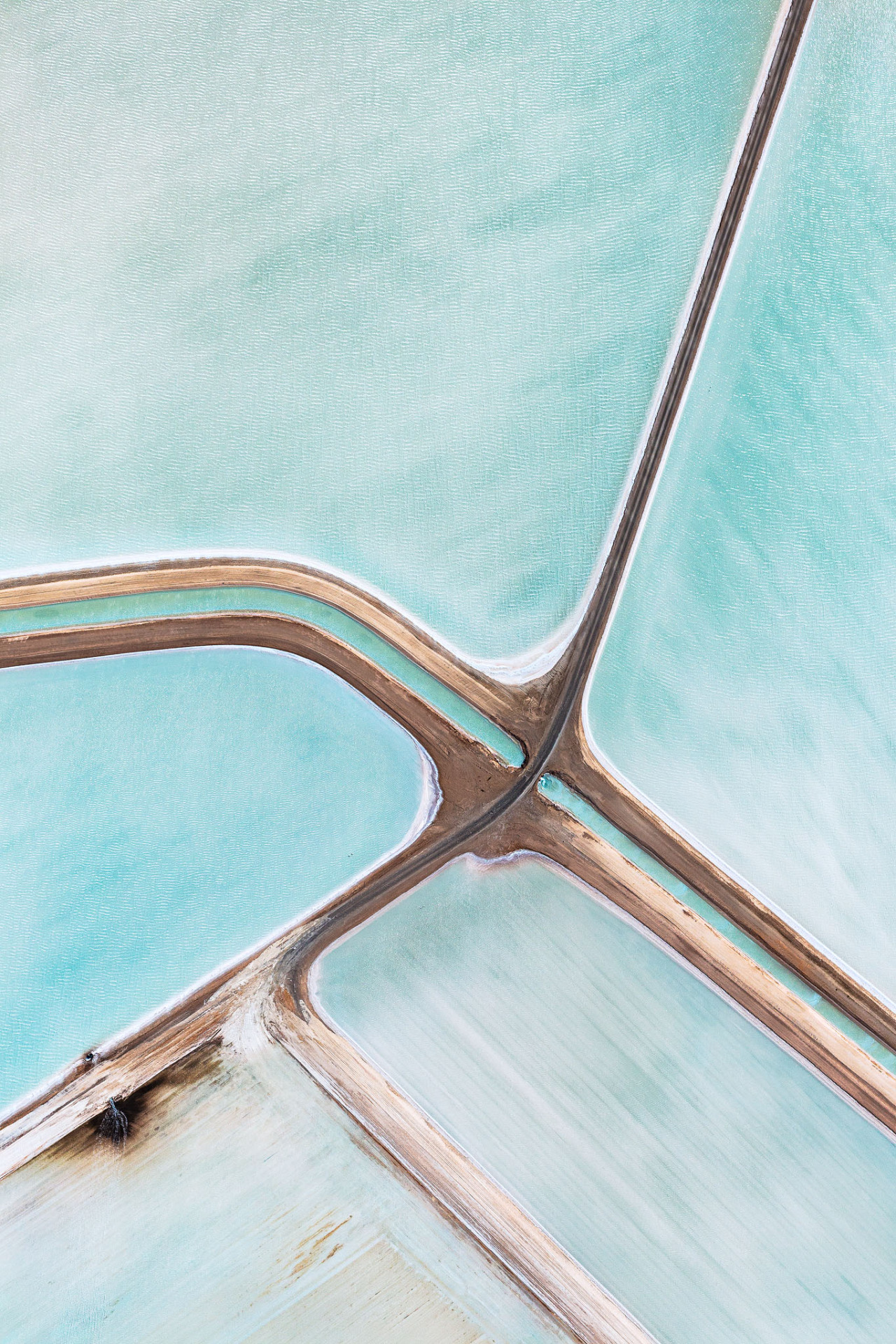 lehroi:  Shark Bay, Western Australia, 2014.Simon Butterwort